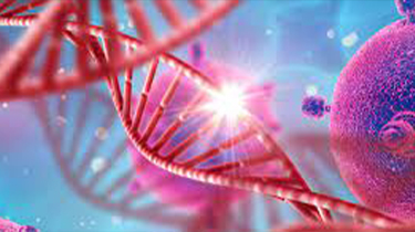 Stem Cell & Regenerative Therapy in India