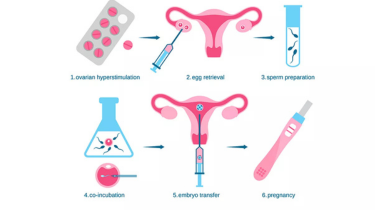 IVF Treatment in India – Affordable & Trusted Fertility Care